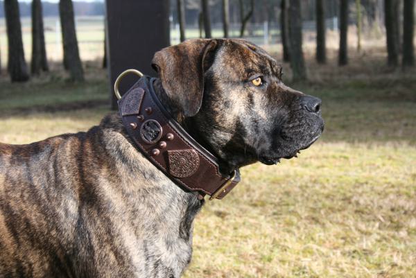 handgenähte Schmuckhalsbänder aus Leder