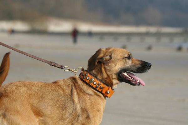 Costum Collar aus handgenähtem Leder