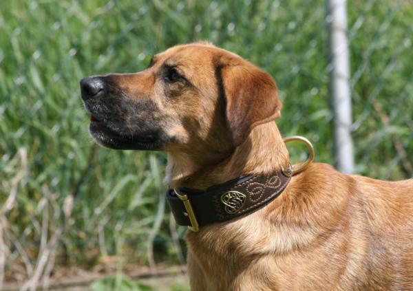 Costum Collar aus handgenähtem Leder